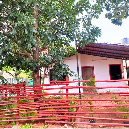 Golden Magnolia Homestay Bengaluru Zewnętrze zdjęcie